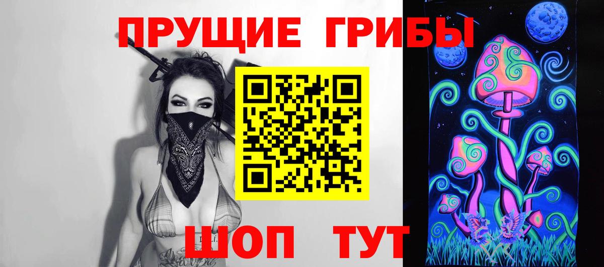 Псилоцибиновые грибы Cubensis Кисловодск