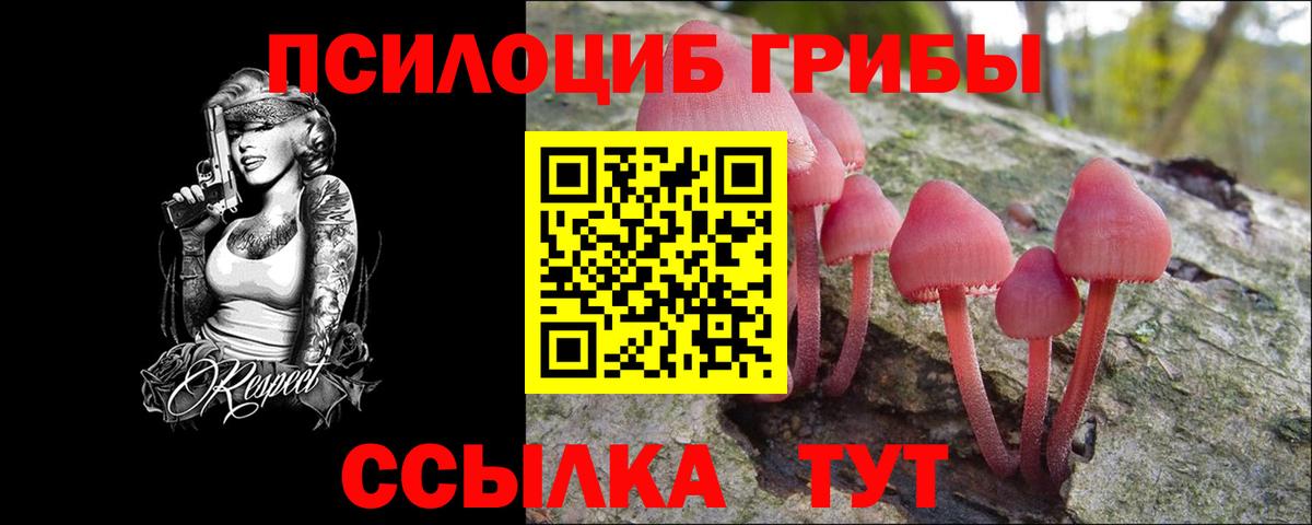 даркнет сайт  Вход с VPN  Кисловодск  Псилоцибиновые грибы Cubensis 